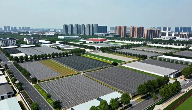 提升系统安全性：技术咨询中的常见问题与解决路径